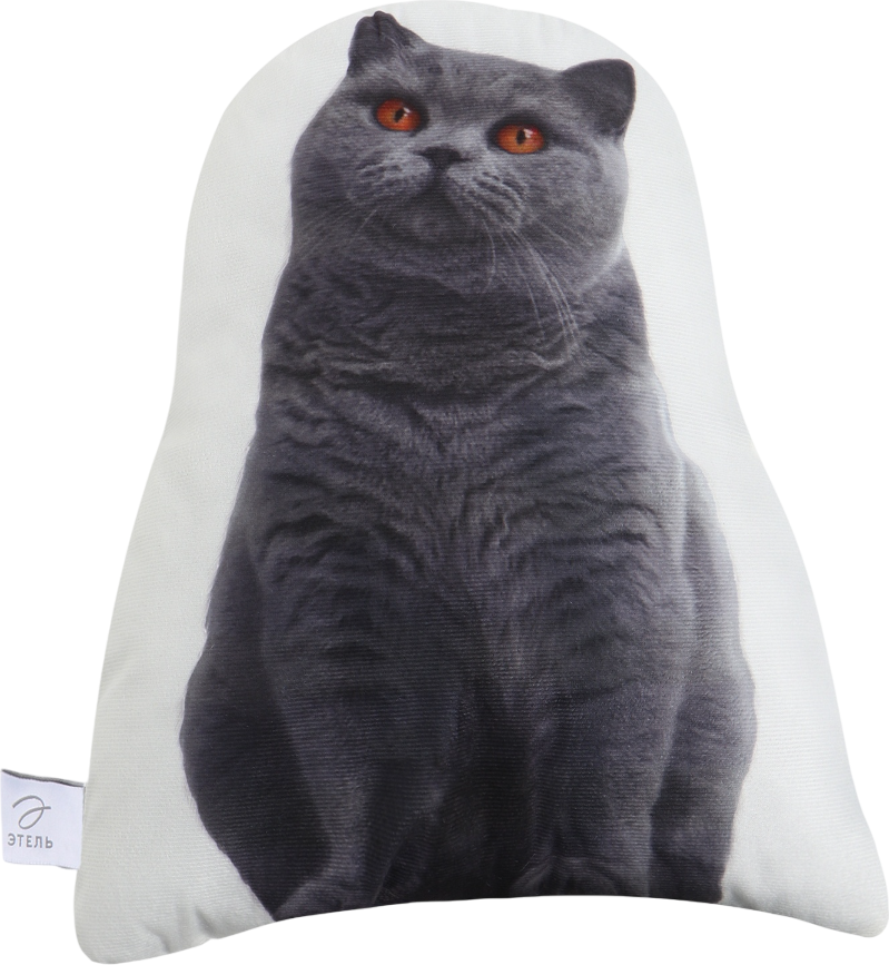 Подушка декоративная Этель Scottish cat / 10864242