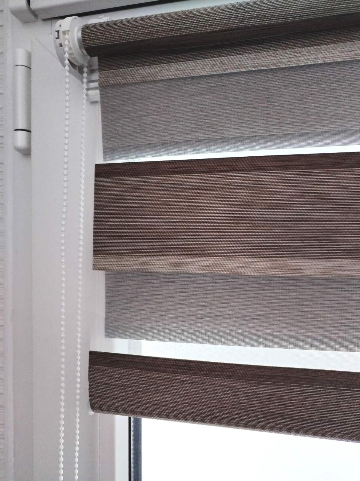 Рулонная штора Jalux День-Ночь Степ ВО 7524-04 65x160 (темно-коричневый)