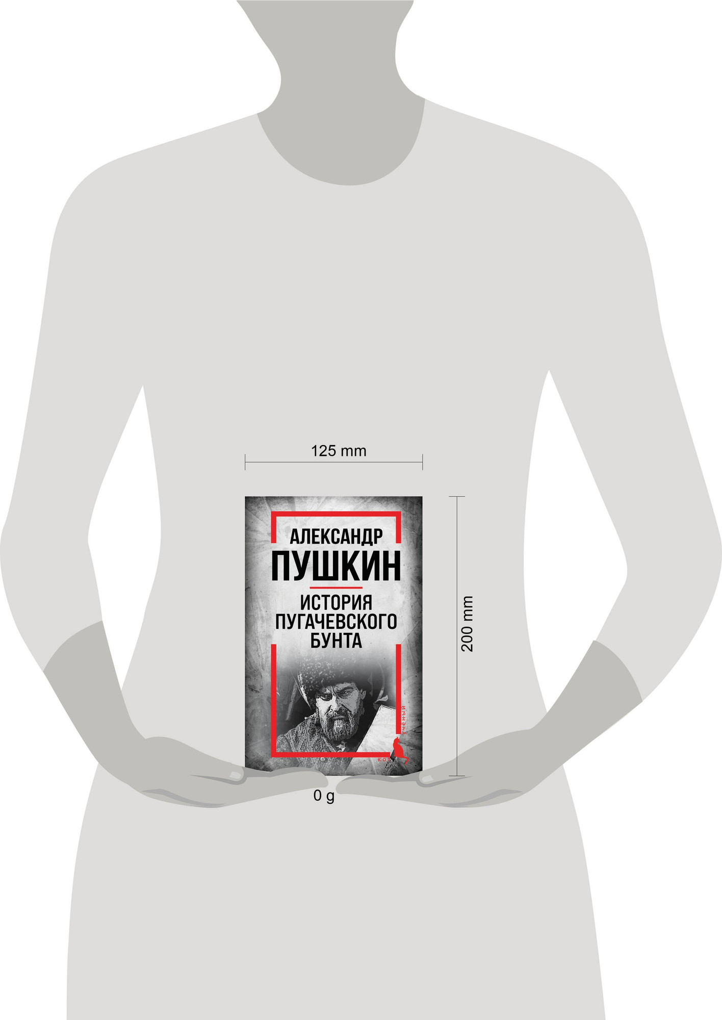 Нехудожественная книга Родина История Пугачевского бунта (Пушкин Александр 9785002690251) — фото 4