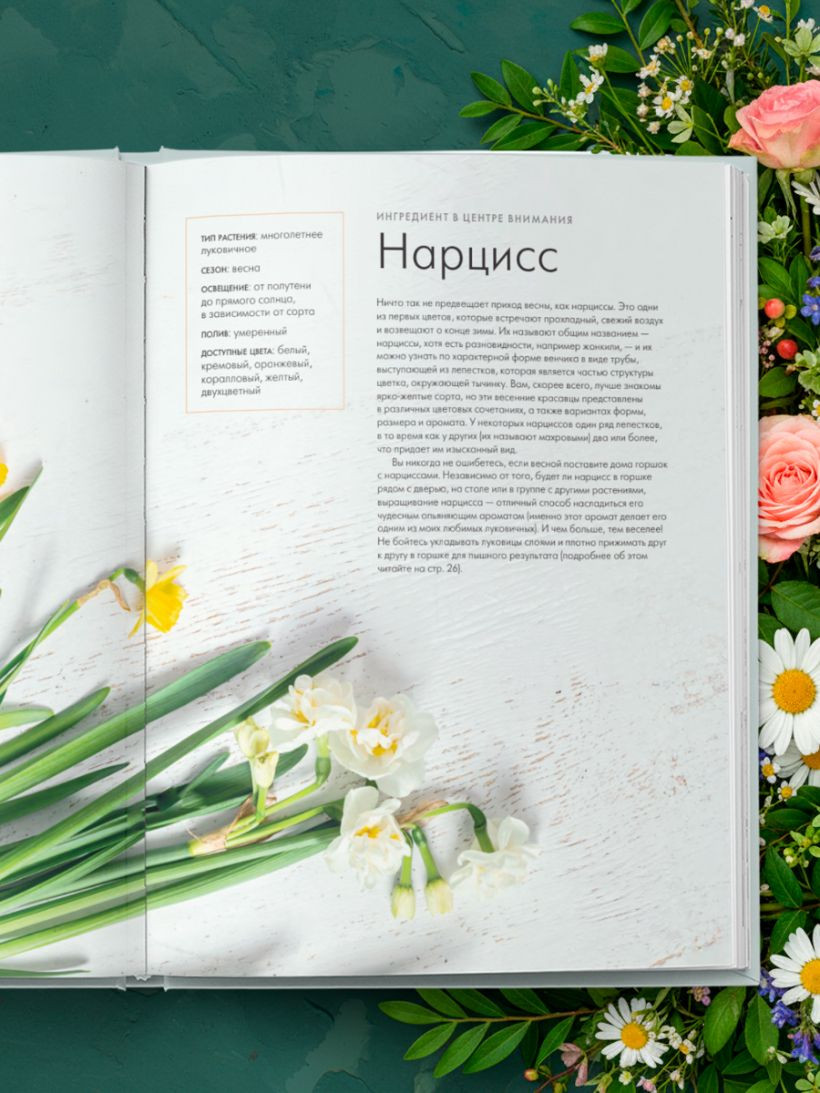 Нехудожественная книга Бомбора Магия контейнерного сада (Уильямс Лана 9785042049415) — фото 2