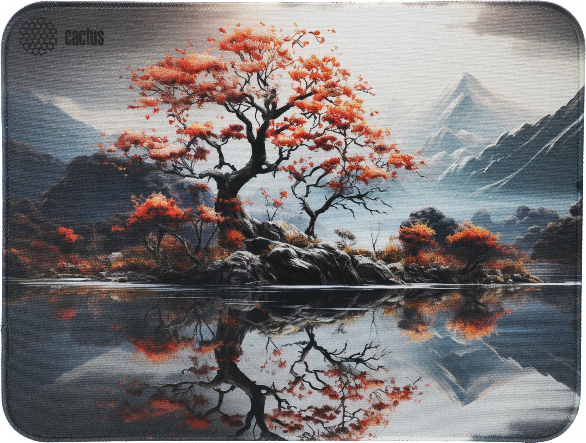 Коврик для мыши Cactus Lake CS-MP-PRO18XL