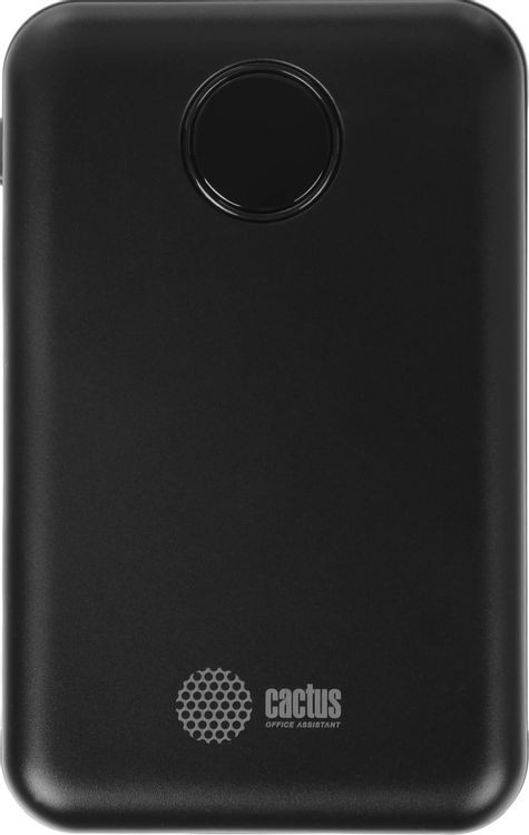 Портативное зарядное устройство Cactus CS-PBFSOA-10000 (черный) — фото 2