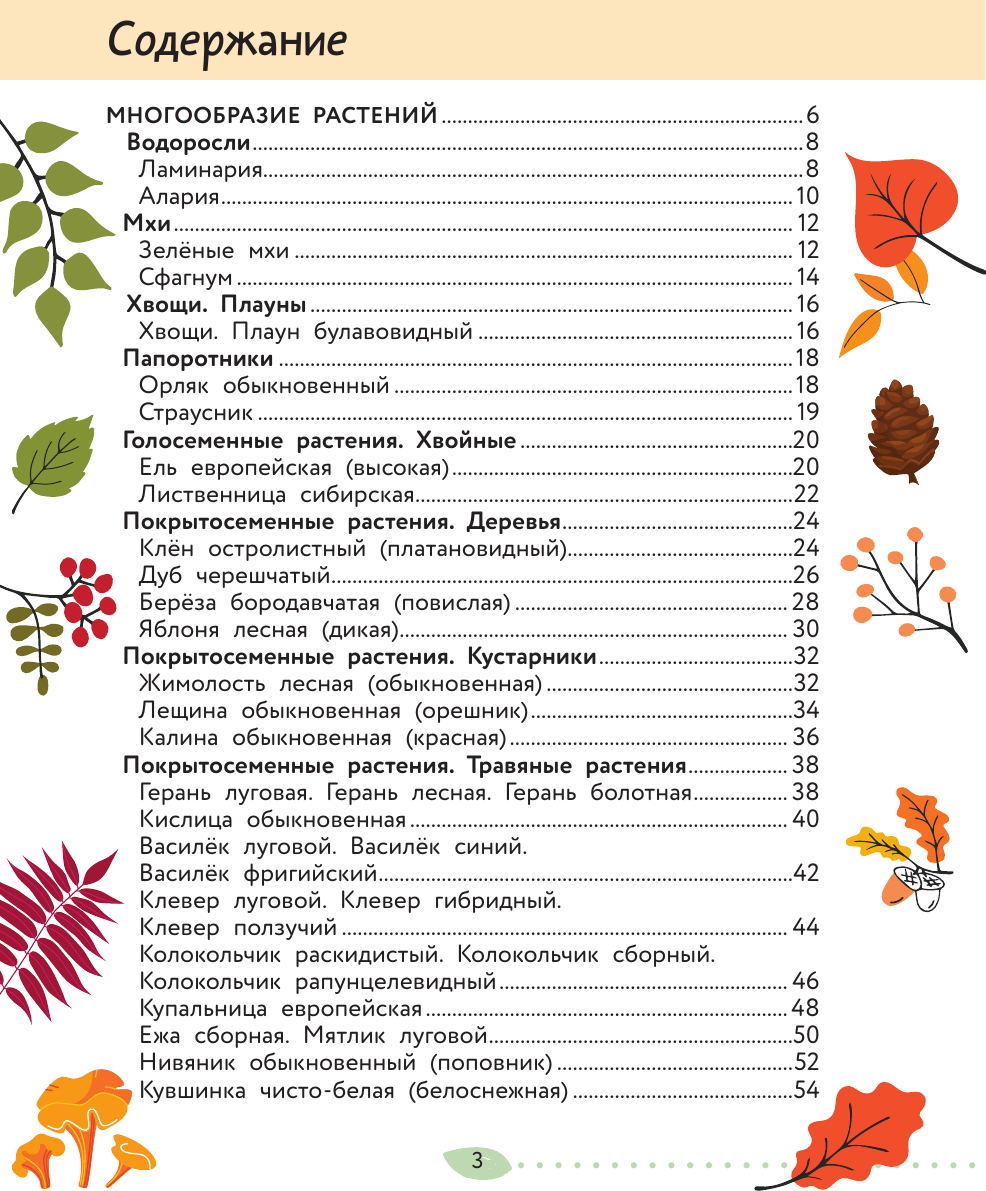 Энциклопедия АСТ Окружающий мир. Растения и грибы (Сивоглазов Владислав 9785171789084) — фото 4