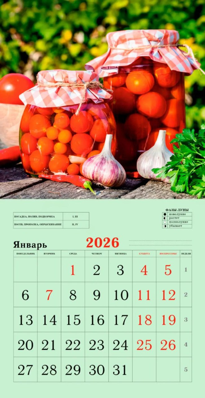 Календарь настенный Listoff Сад и огород. 2026 год / КС122608 — фото 2
