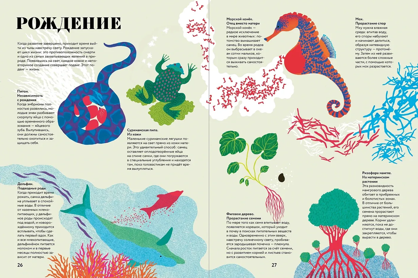 Художественная книга Альпина Чудесная книга жизни (Мариньо Соледад Ромеро, Кабасса Мариона 9785006307162) — фото 6