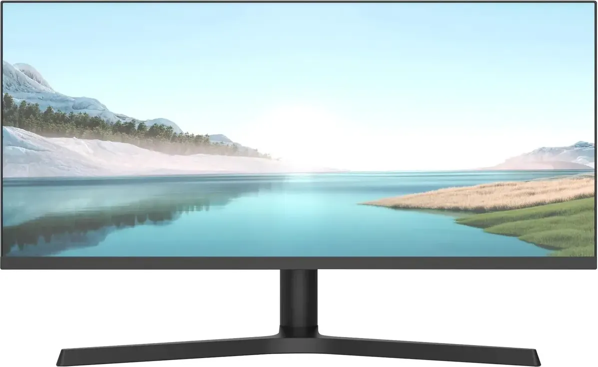 Монитор NPC MZ300L