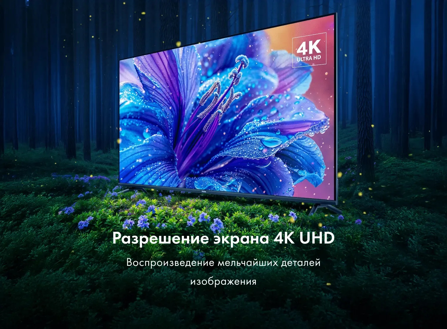 Телевизор Haier 50" Led S2 — фото 6
