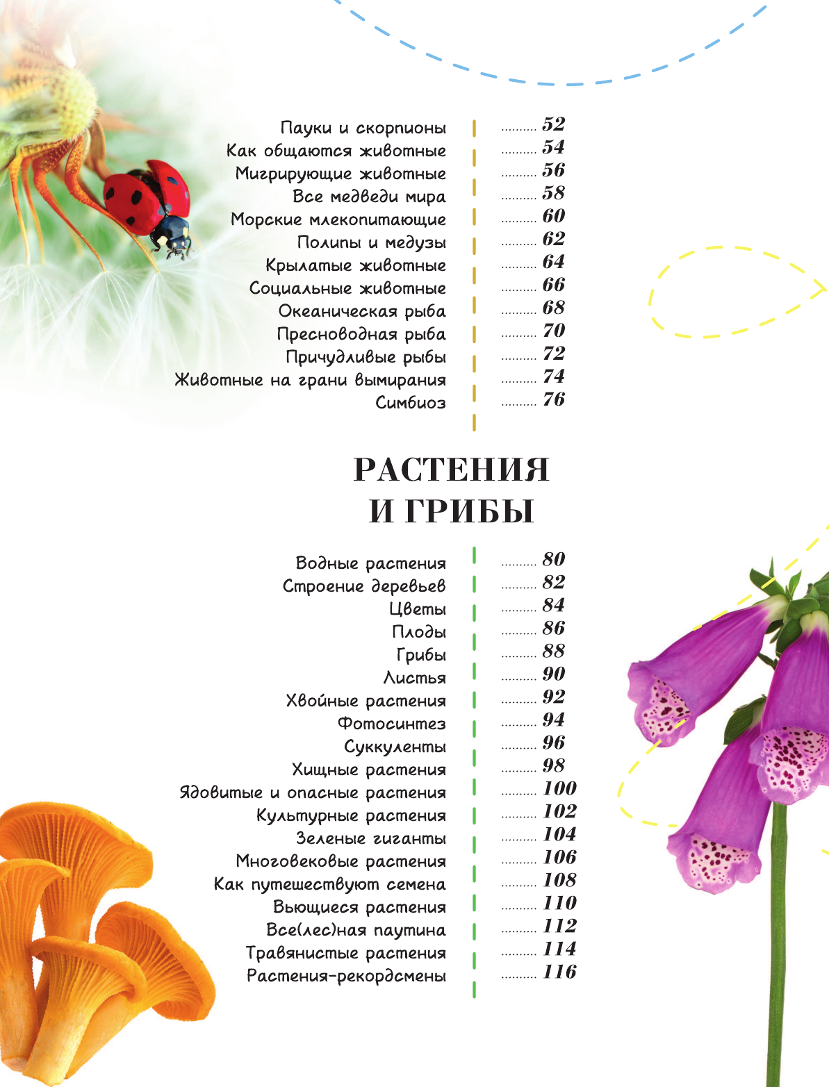 Энциклопедия АСТ 100 тысяч почему на каждый день. Природа (Банфи Кристина 9785171808785) — фото 5