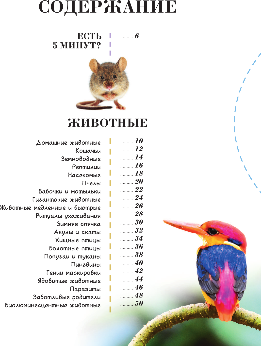 Энциклопедия АСТ 100 тысяч почему на каждый день. Природа (Банфи Кристина 9785171808785) — фото 4