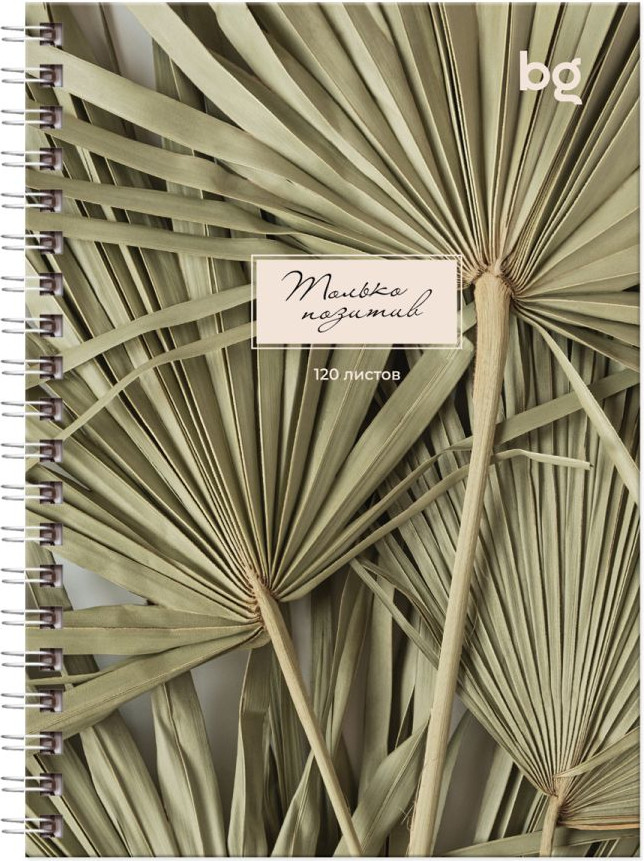 Записная книжка BG Место под солнцем (120л)