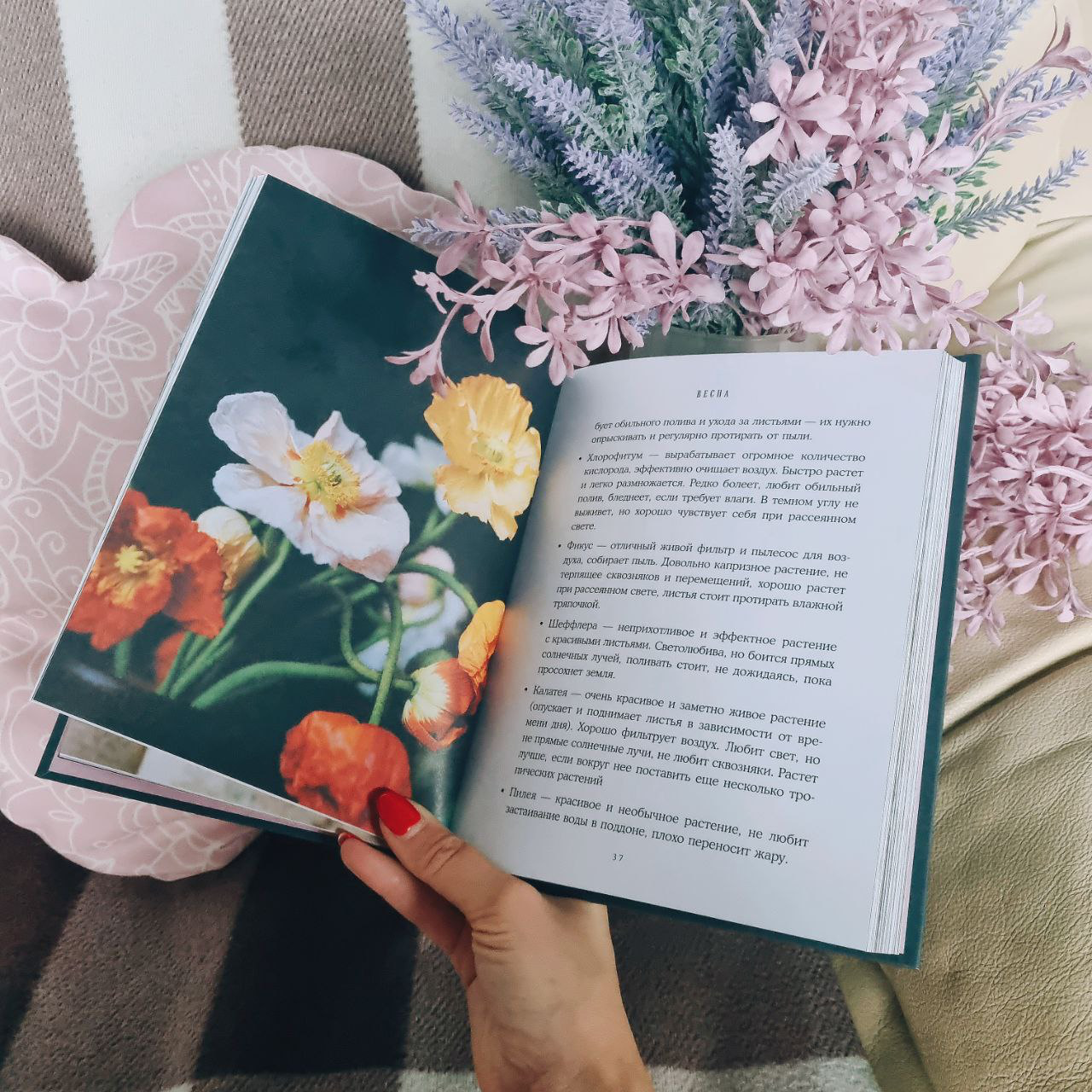 Книга Бомбора Год простых чудес. Найти опору и вдохновение (Гладких А., 9785042013638) — фото 3