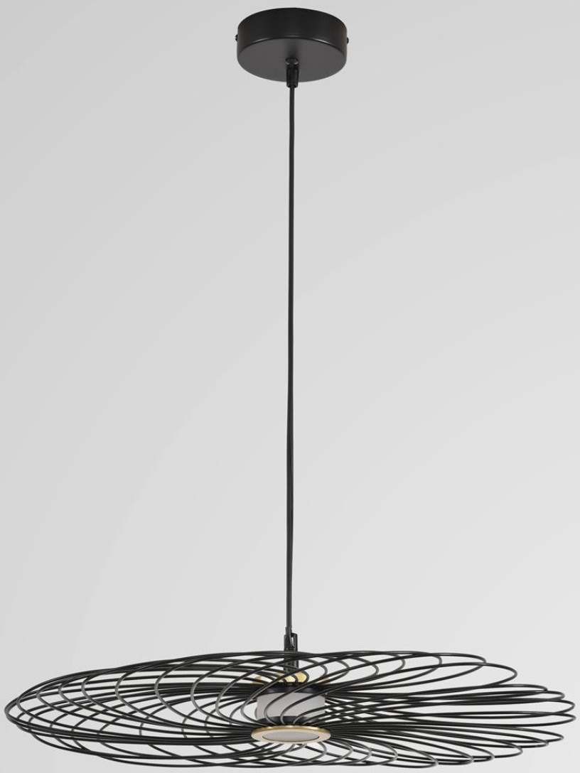 Потолочный светильник Lumion Camomile 8379/10L