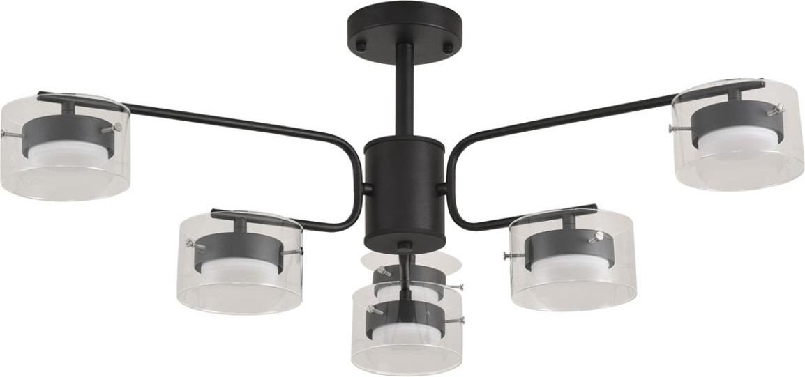 Потолочный светильник Lumion Natalina 8349/6C