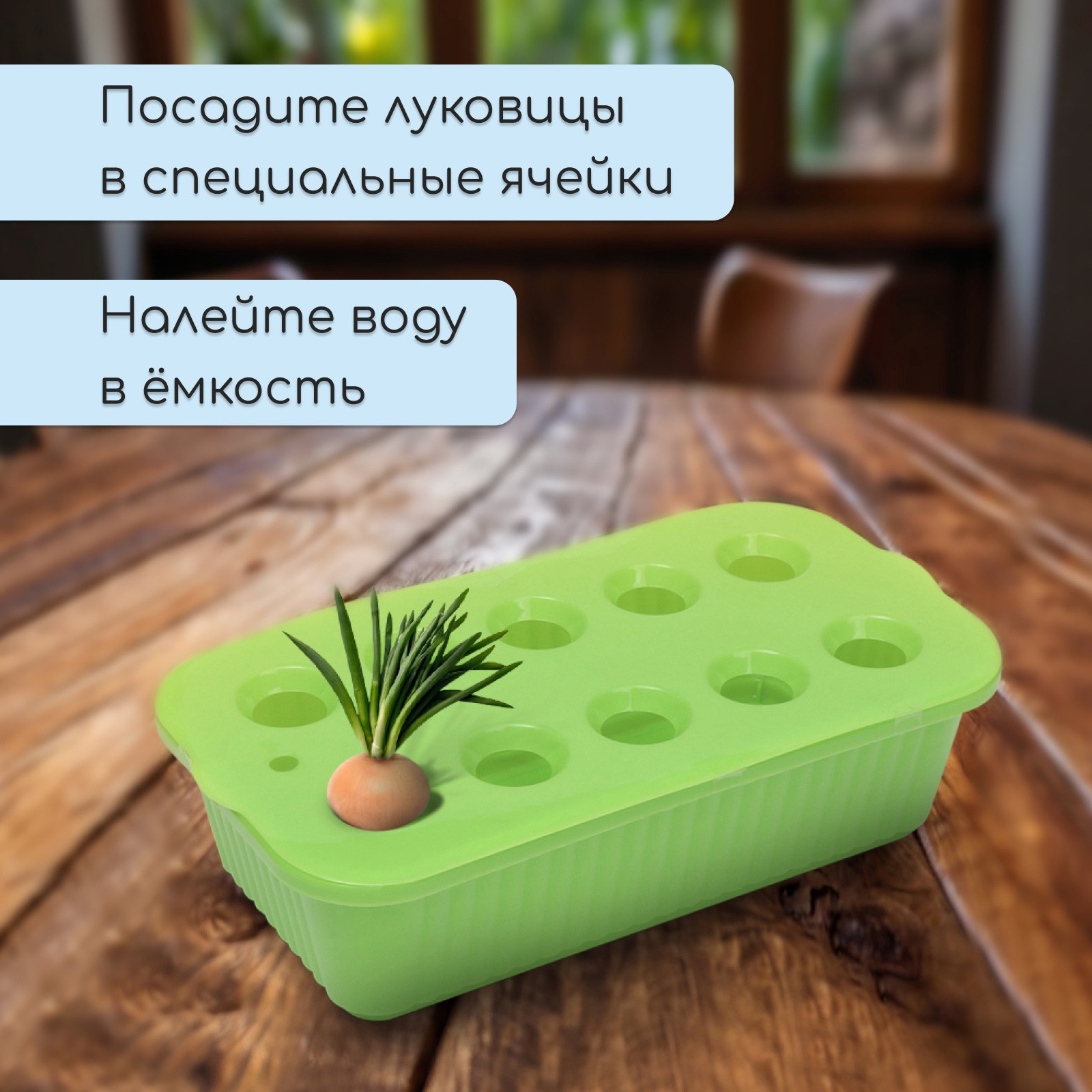 Ящик для рассады GREENGO для выращивания зеленого лука / 9035821 (зеленый) — фото 6
