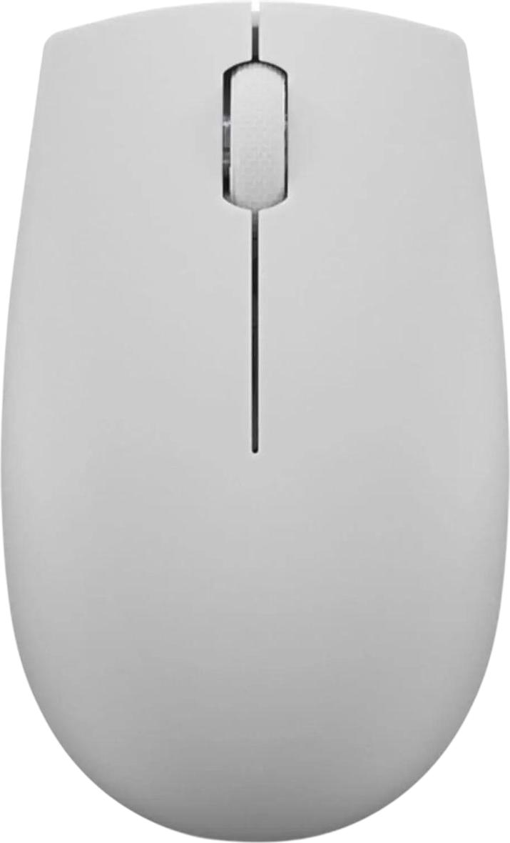 Мышь Lenovo 300 Wireless Compact / GY51L15678 (серый)