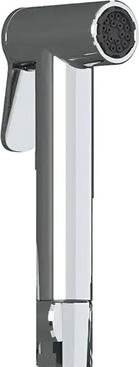 Лейка гигиенического душа Teska BTK6900