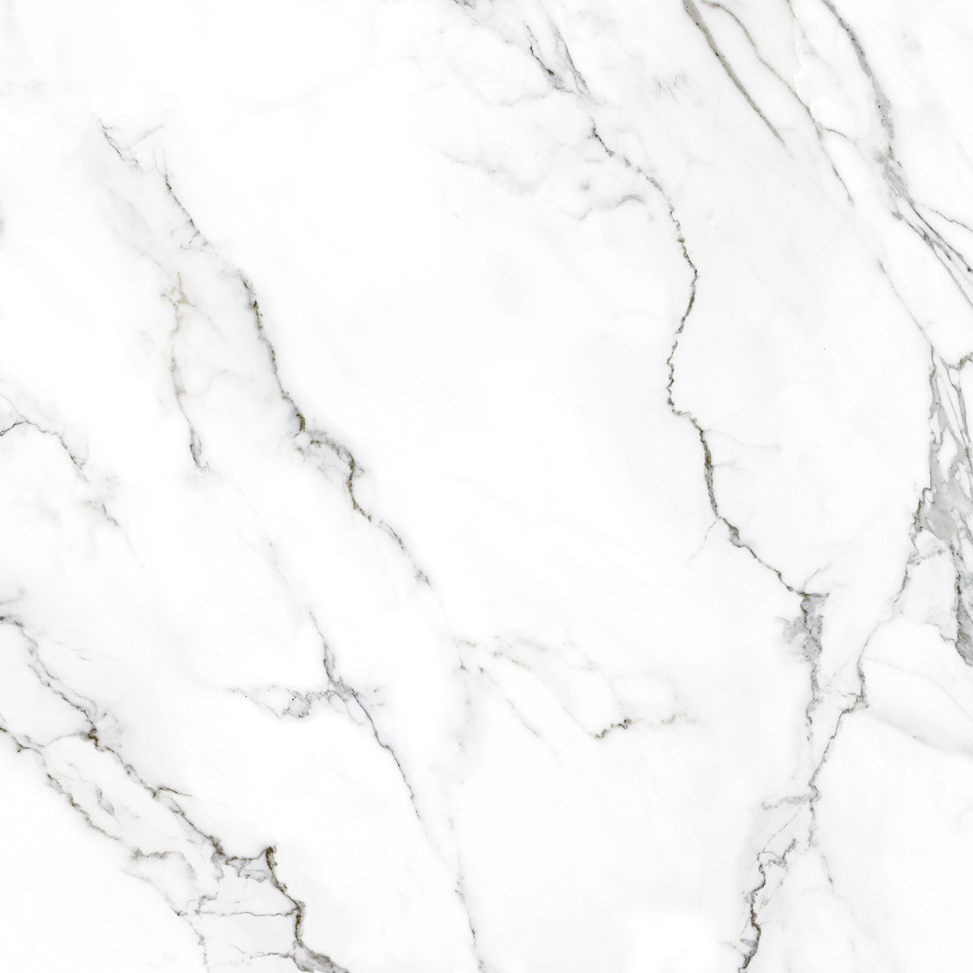 Плитка Lux Ceramics RC Carrara W (600x600)