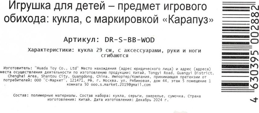 Кукла с аксессуарами Карапуз София / DR-S-BB-WOD — фото 6