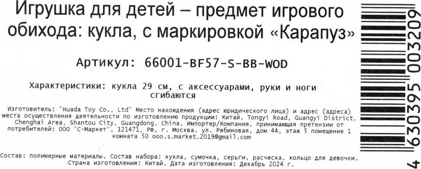 Кукла с аксессуарами Карапуз София / 66001-BF57-S-BB-WOD — фото 6