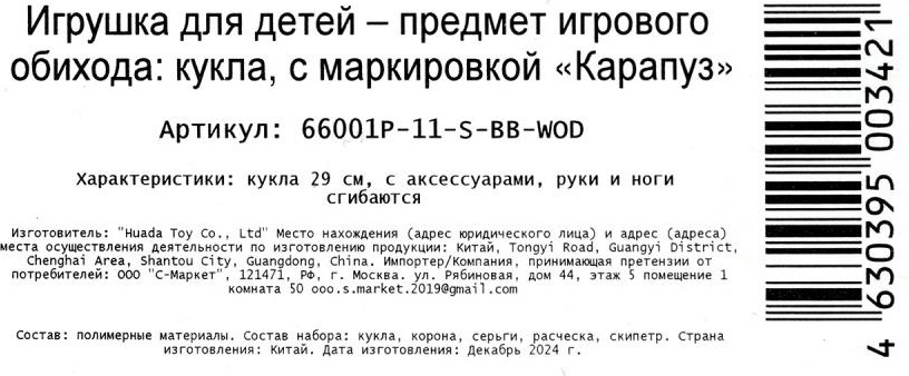 Кукла с аксессуарами Карапуз София / 66001P-11-S-BB-WOD — фото 6