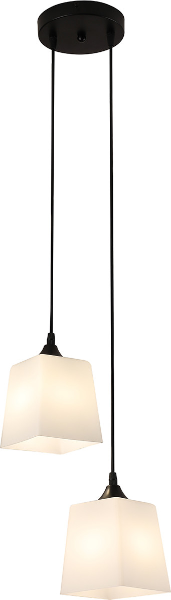Потолочный светильник ESCADA 160003/2P / ES0000026 (черный)
