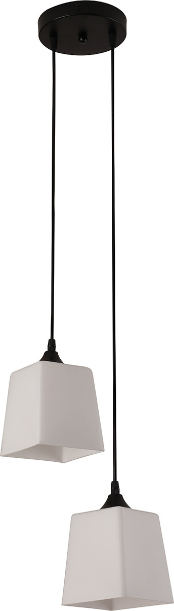 Потолочный светильник ESCADA 160003/2P / ES0000026 (черный) — фото 2