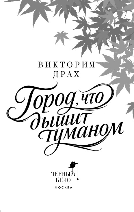 Художественная книга Черным-бело Город, что дышит туманом, твердая обложка (Драх Виктория) — фото 2