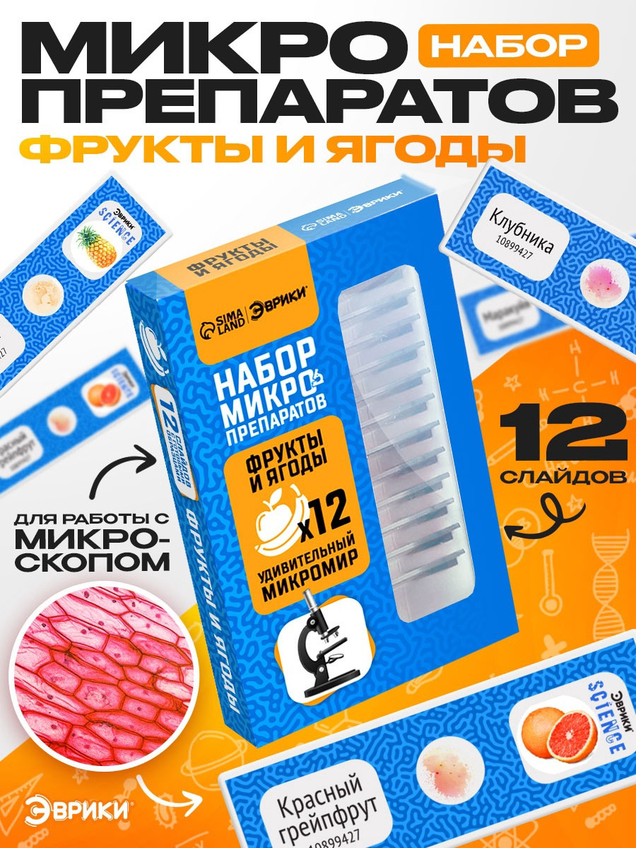 Набор микропрепаратов Эврики Набор микропрепаратов / 10899427 — фото 2
