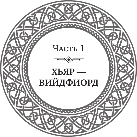 Художественная книга АСТ Берегини (Роше М., Лисовская Э. 9785171731762) — фото 6