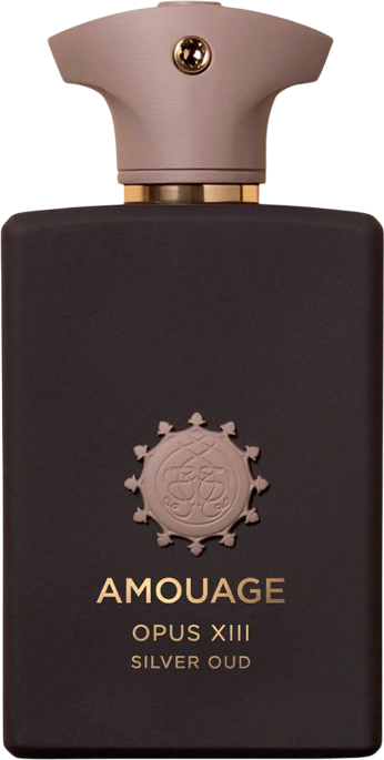 Парфюмерная вода Amouage Silver Oud (50мл)