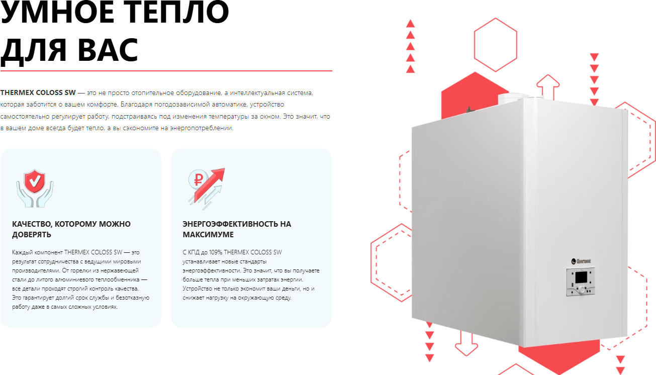 Газовый котел Thermex Coloss SW100 TR304W — фото 3