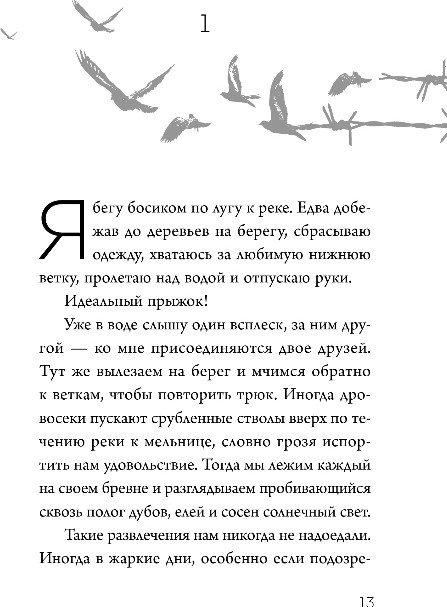 Художественная книга Бомбора Мальчик на деревянном ящике, твердая обложка (Лейсон Леон) — фото 4