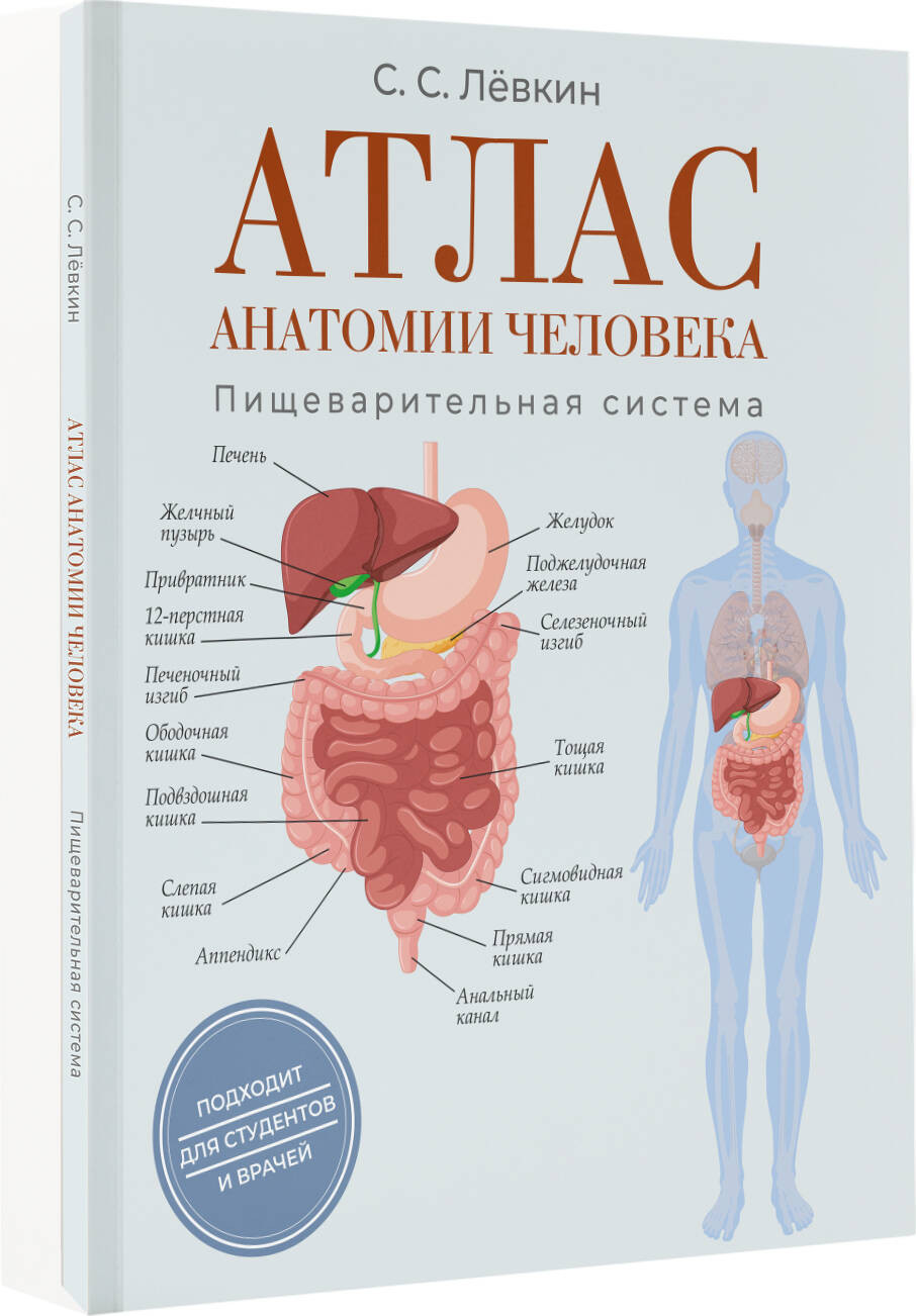 Книга АСТ Атлас анатомии человека. Пищеварительная система (Левкин Сергей 9785171788537) — фото 3