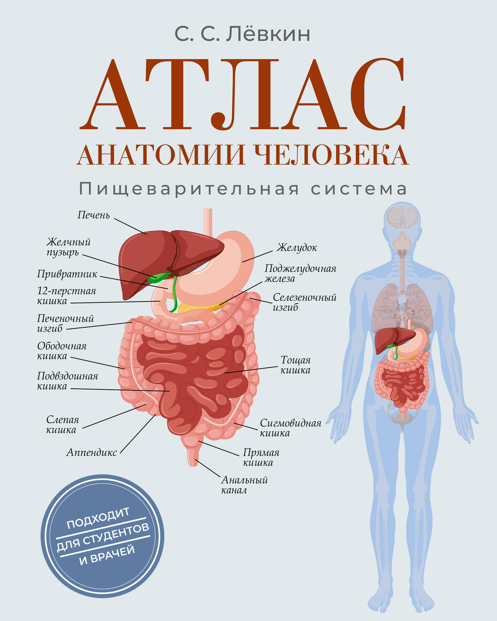 Книга АСТ Атлас анатомии человека. Пищеварительная система (Левкин Сергей 9785171788537)