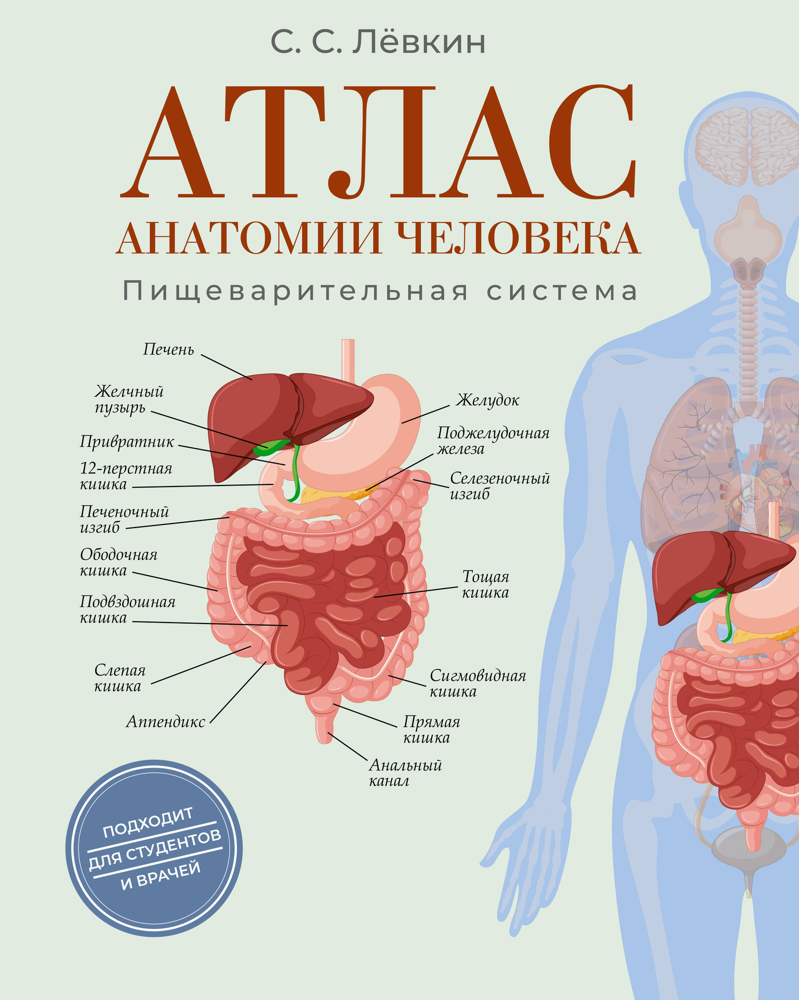 Книга АСТ Атлас анатомии человека. Пищеварительная система (Левкин Сергей 9785171788513)