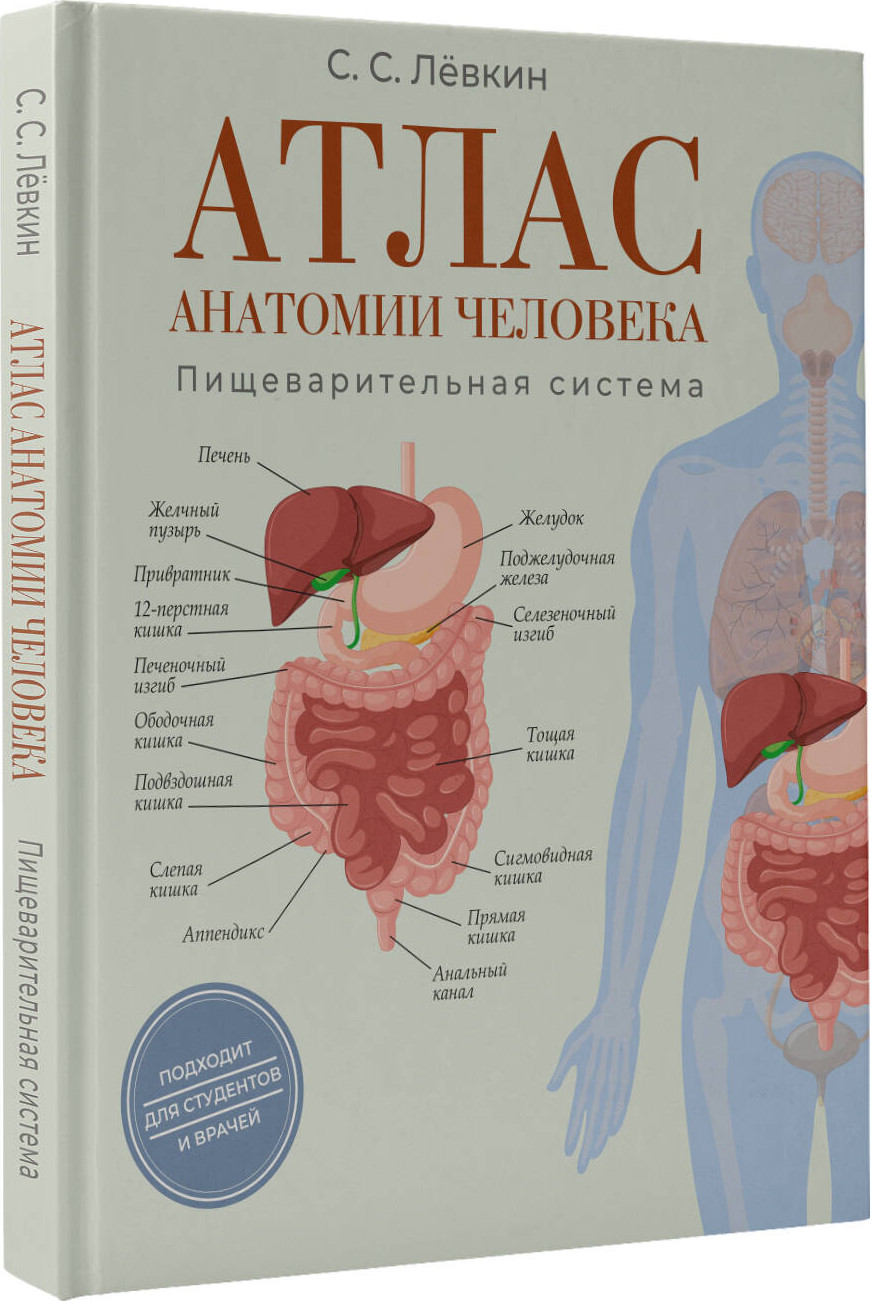 Книга АСТ Атлас анатомии человека. Пищеварительная система (Левкин Сергей 9785171788513) — фото 2