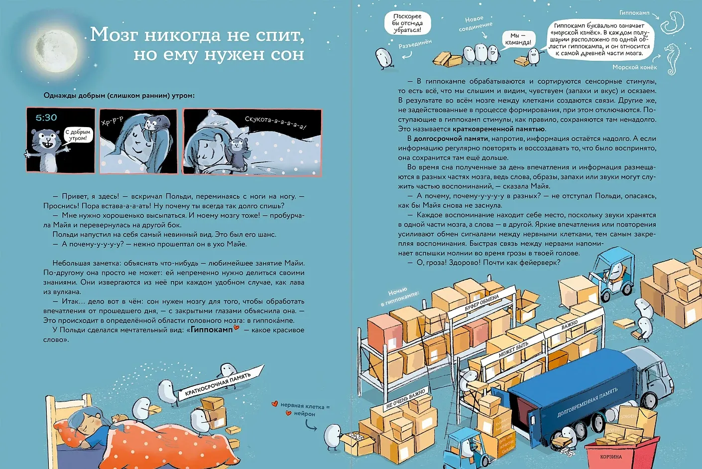 Энциклопедия Альпина Что такое человек? Записки любознательного хомяка (Гелих Сюзанна 9785006303553) — фото 2