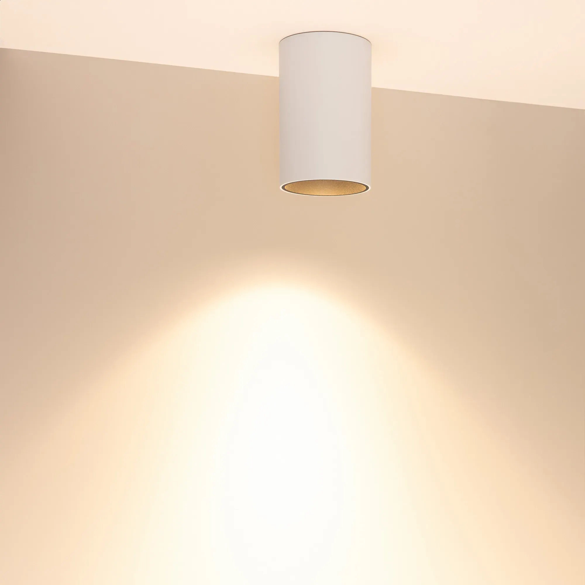 Точечный светильник Arlight SP-SALT-R95-20W Warm3000 WH-BK 40 deg / 056743 — фото 4