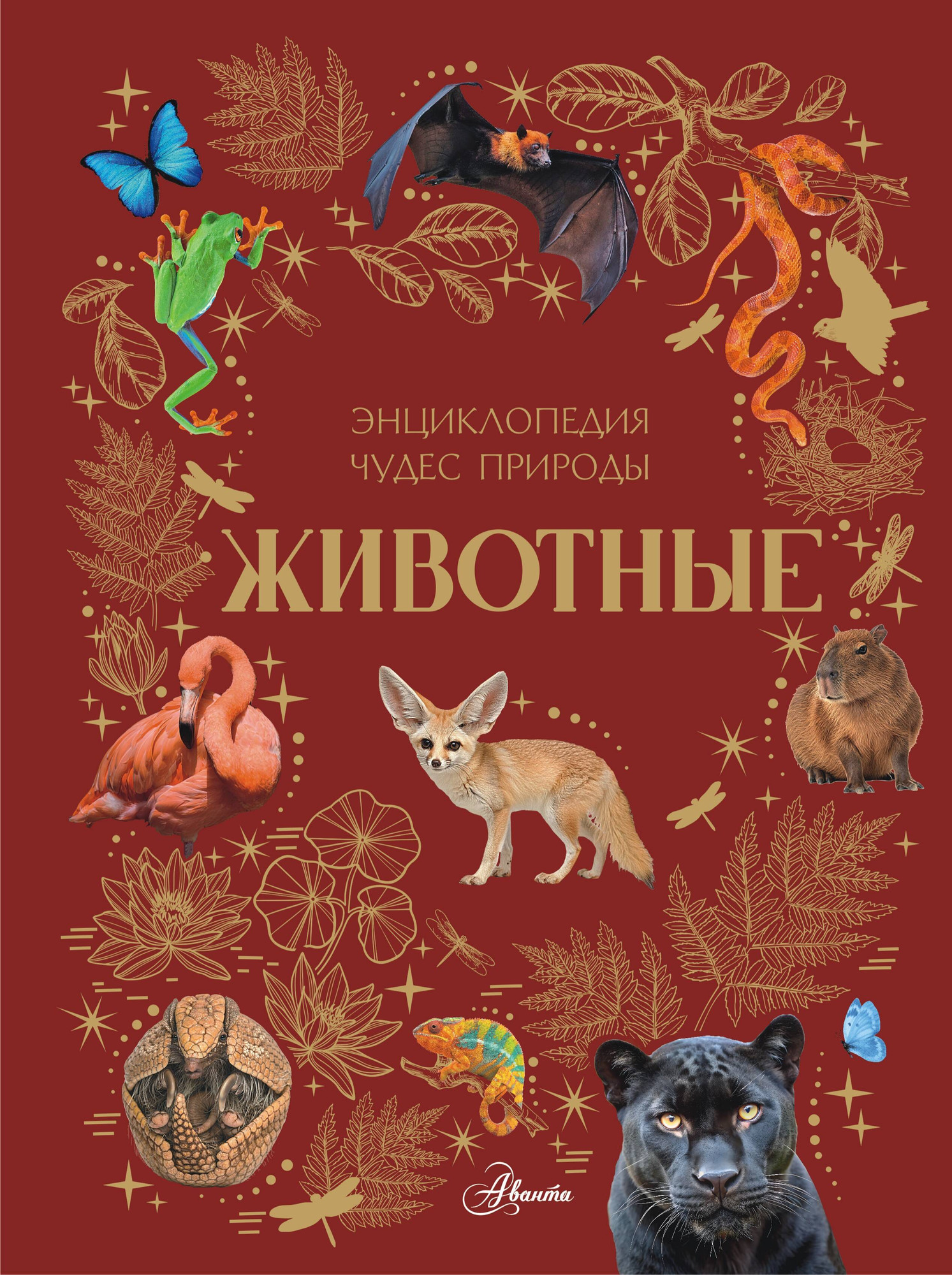 Энциклопедия АСТ Животные (Ярович Ангелина 9785171788438)