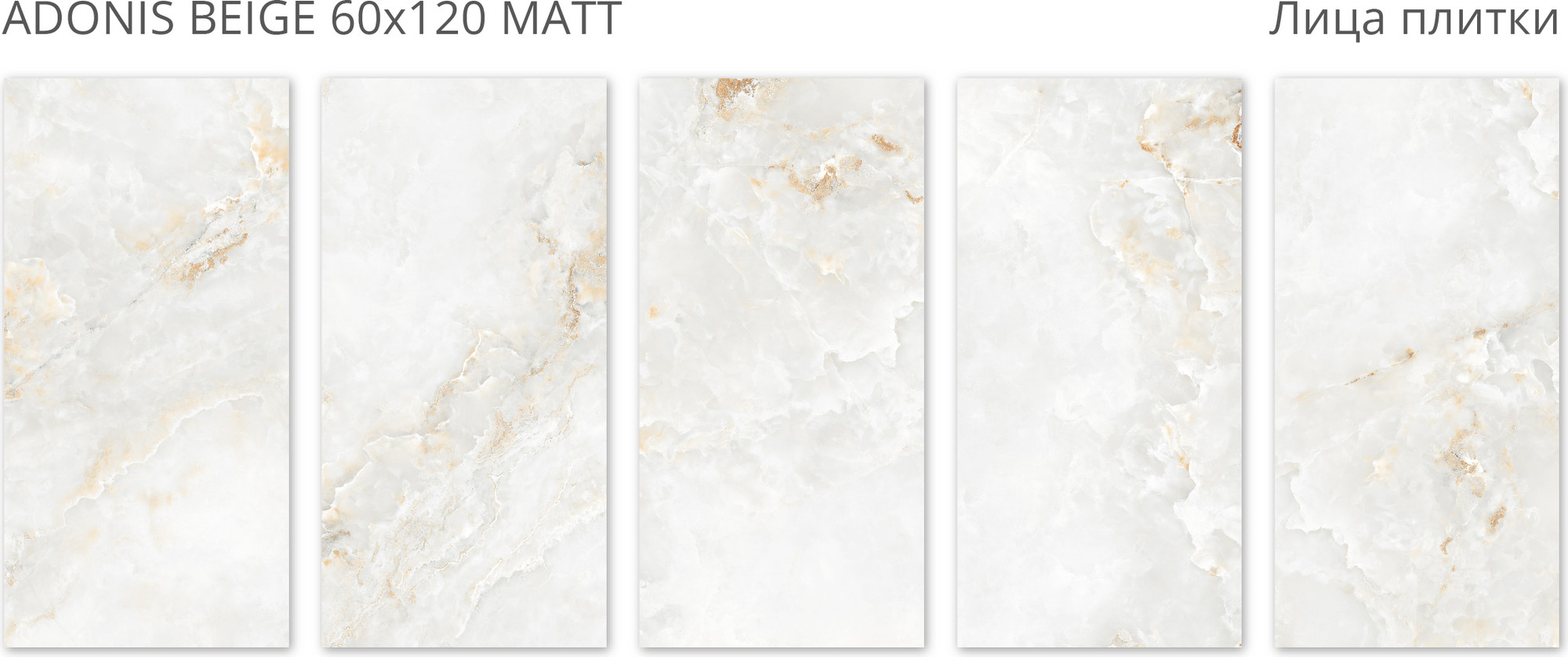 Плитка Staro Adonis Beige Matt 33224541 (600x1200) — фото 4