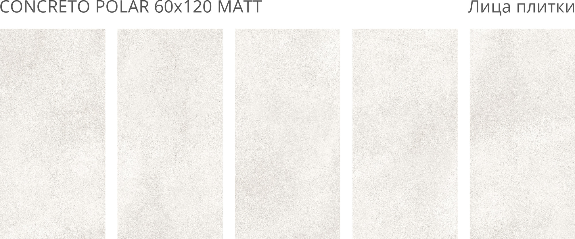 Плитка Staro Concreto Polar Matt 54255690 (600x1200) — фото 3