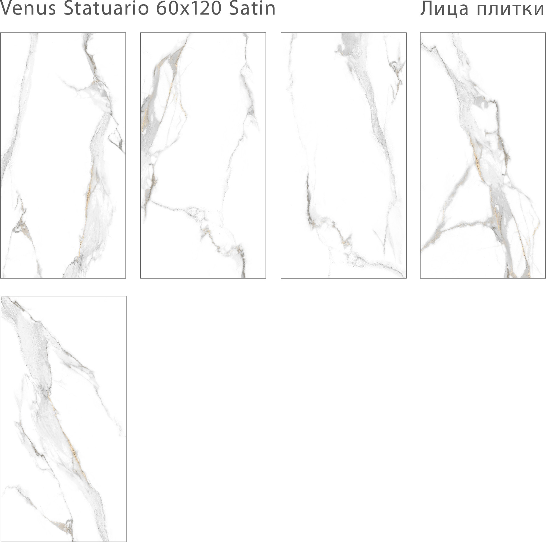 Плитка Staro Venus Statuario Satin 1237984 (600x1200) — фото 5