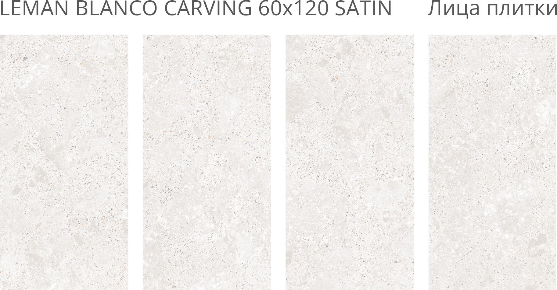 Плитка Staro Leman Blanco Carving Satin 24235482 (600x1200) — фото 4