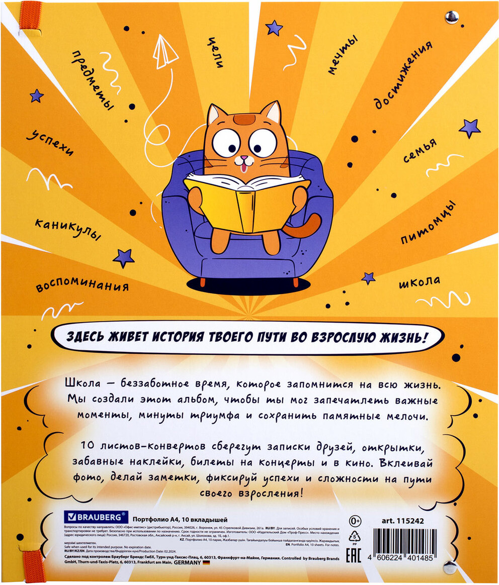 Папка адресная Brauberg Портфолио школьника. Школьный альбом / 115242 — фото 3