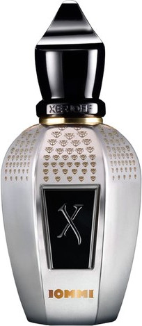 Парфюмерная вода Xerjoff Blends Tony Iommi Monkey Special (100мл)