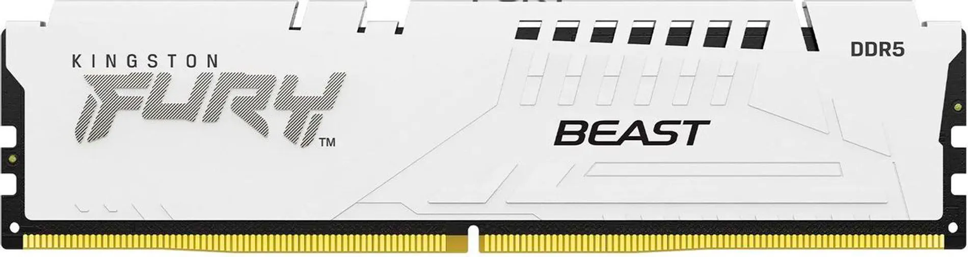 Оперативная память DDR5 Kingston KF556C40BW-16
