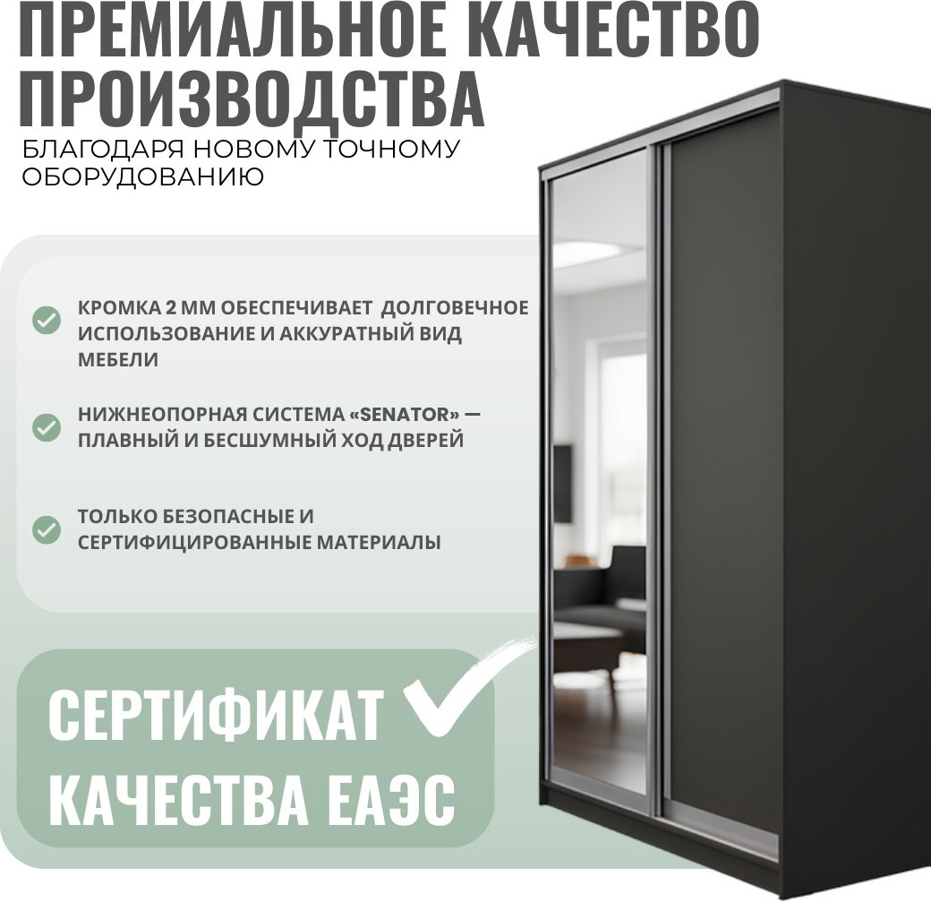 Шкаф-купе Рэйгрупп 203 BBX Elgon РГ-08.01 (белый премиум/белый премиум/хром) — фото 3