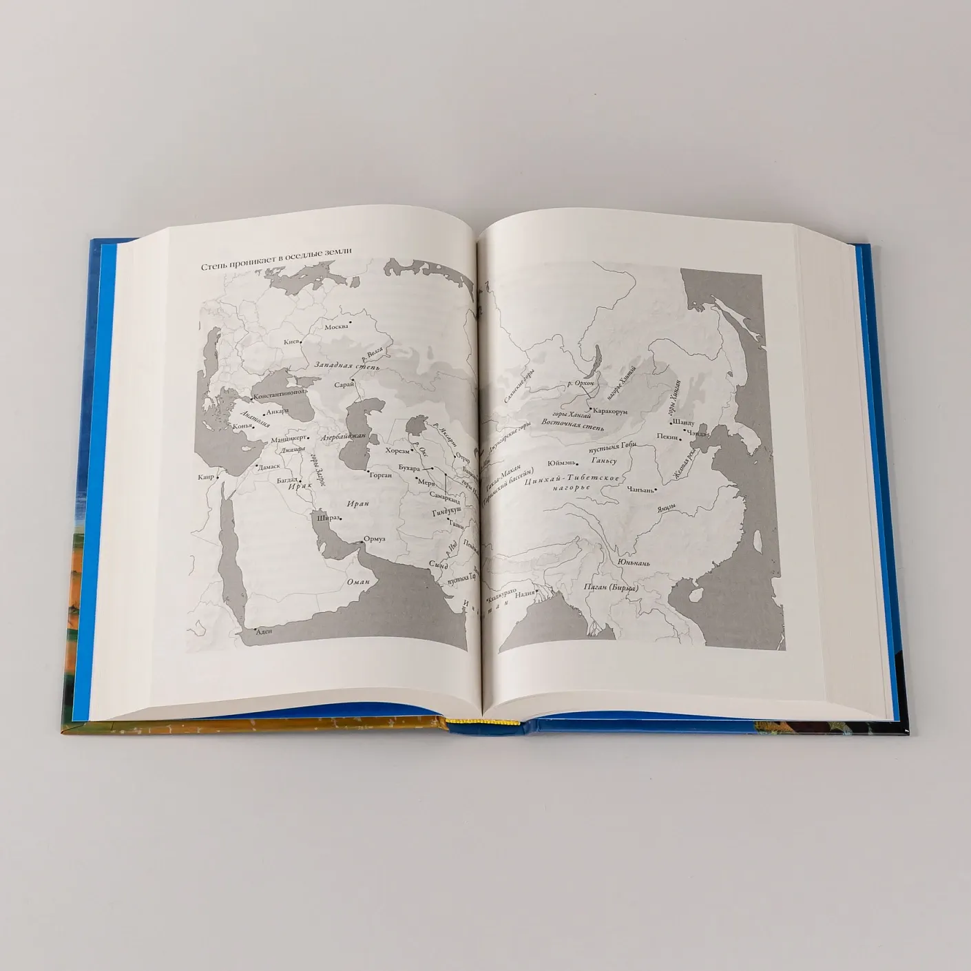 Книга Альпина На коне. Как всадники изменили мировую историю (Хейфец Дэвид 9785002233496) — фото 2