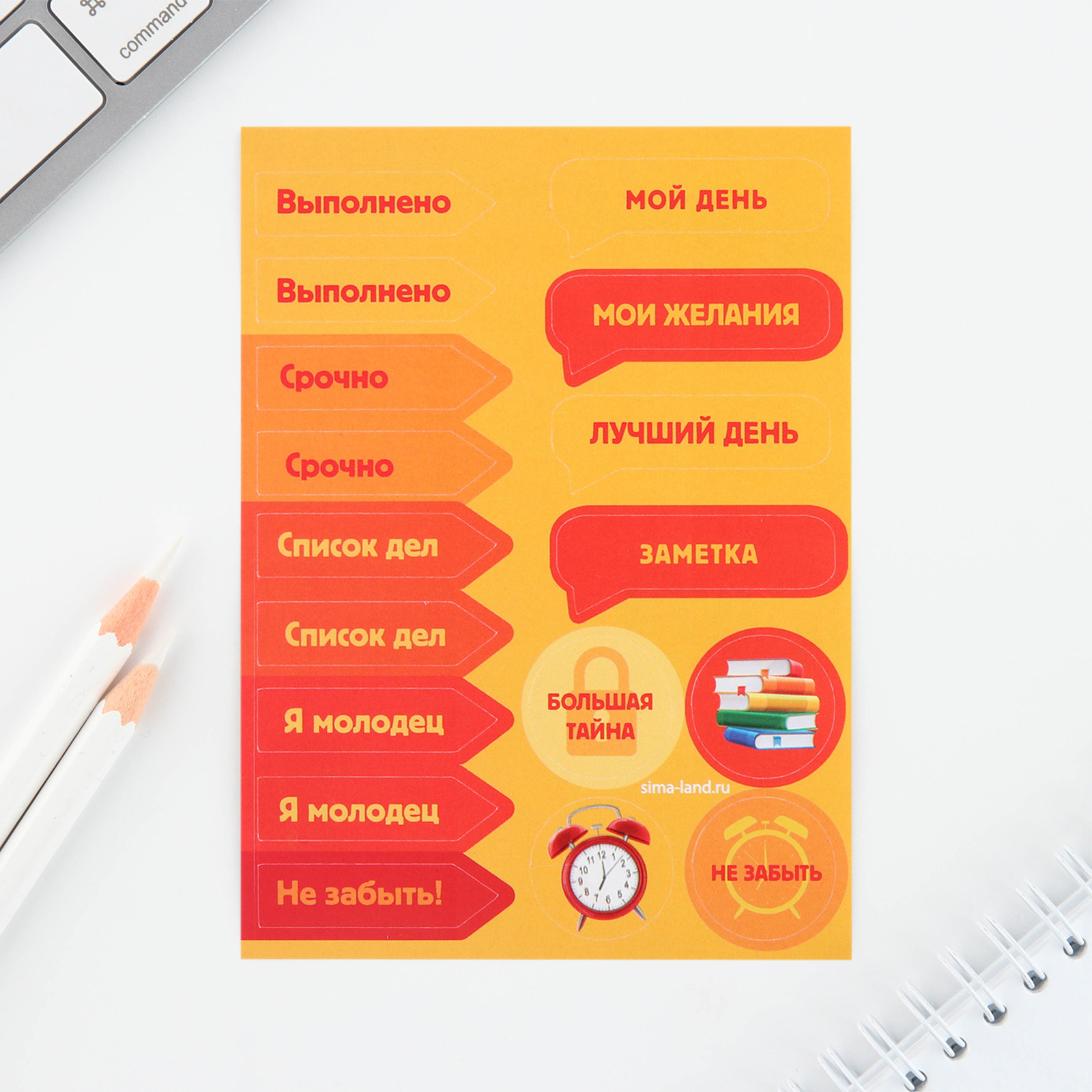 Набор канцелярский подарочный ArtFox Учусь на 5+ / 10069335 — фото 6