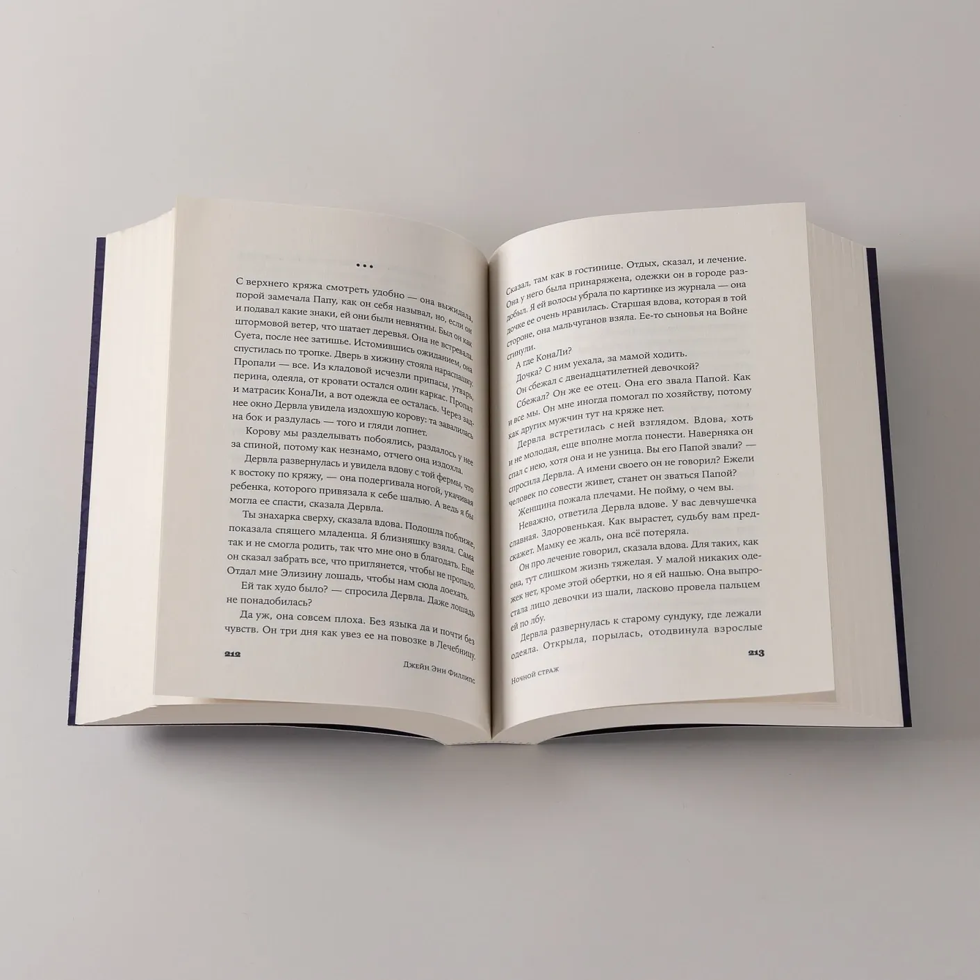 Художественная книга Альпина Ночной страж (Филлипс Джейн Энн 9785961499766) — фото 2